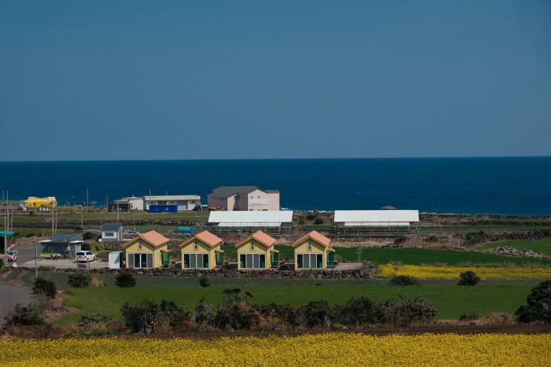 济州岛